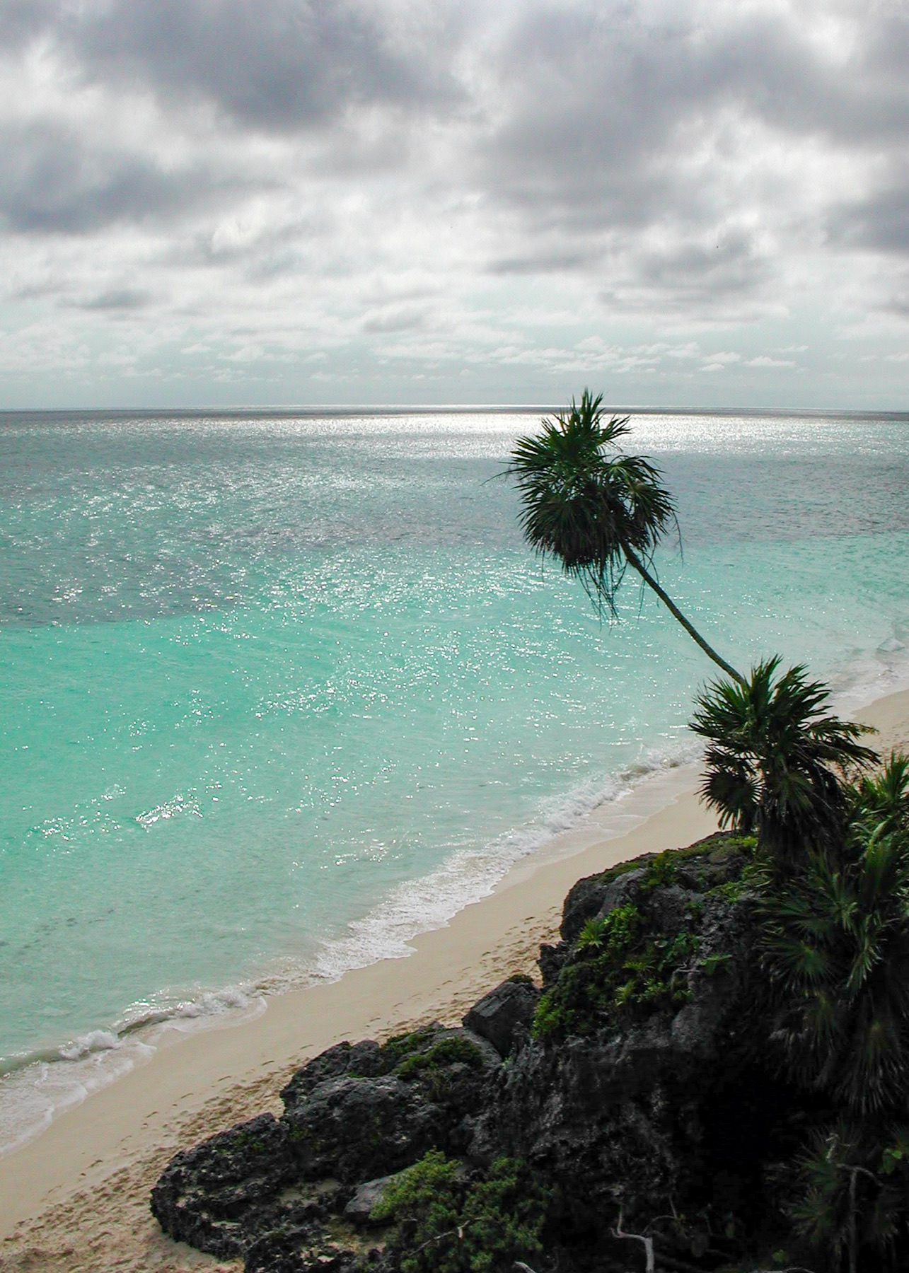 A tropical shoreline